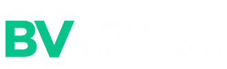 BV999 LOGO